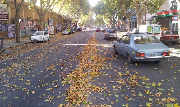 Foto: M. Simonovich - MDZ