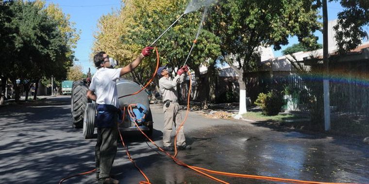 En el Valle de Uco están alerta por el dengue. Foto: MDZ