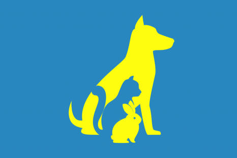 test de personalidad test de personalidad