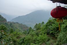 El descubrimiento ocurrió en las montañas Dabie, ubicadas en la provincia de Anhui, este de China Foto: Shutterstock