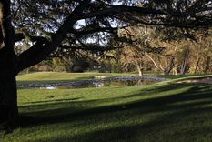 La belleza de Atamisque.