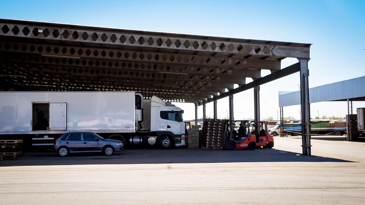 Se disparan los costos del transporte por la fuerte suba del precio del gasoil