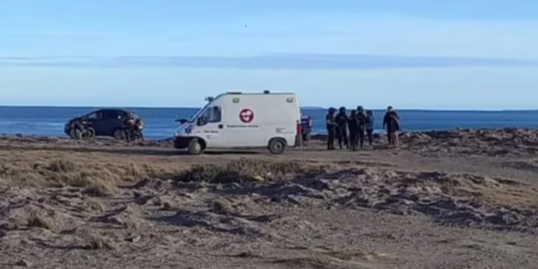 El hallazgo tuvo lugar en las playas de Puerto Deseado.