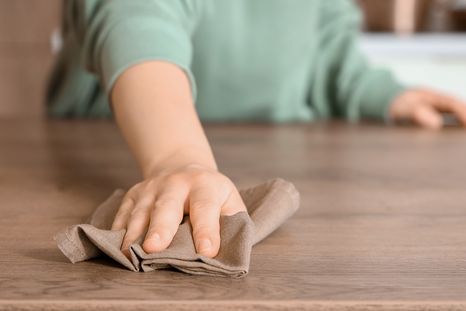 Las empleadas domésticas y la actualización de mayo. Las empleadas domésticas y la actualización de mayo.