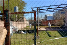 El aberrante hallazgo ocurrió en una casa ubicada en la calle Leandro N. Alem al 100. El aberrante hallazgo ocurrió en una casa ubicada en la calle Leandro N. Alem al 100.