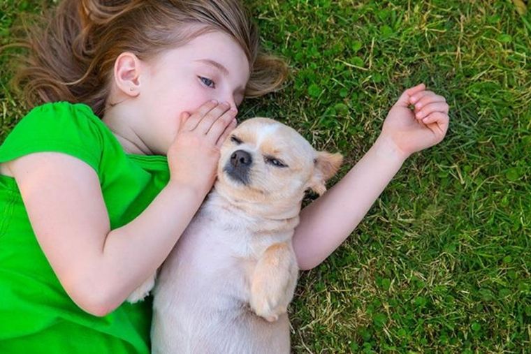 PERRO Foto: Clombia.com