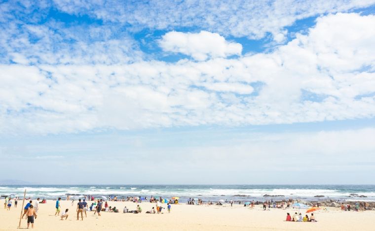 La playa tiene una gran biodiversidad a sus alrededores. Foto: shutterstock