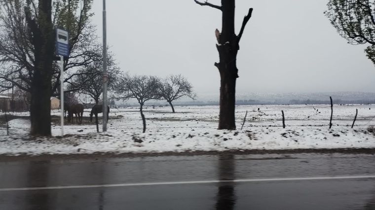 Así amaneció Tupungato este miércoles Foto: Gentileza