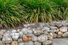 Dispersar el viento con cestas rellenas con alambre. Foto: Gentileza Svetlana Zhukova (AlamyI