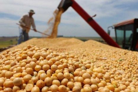 Las perspectivas del sector agropecuario muestran una tendencia positiva.