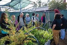 Godoy Cruz puso en marcha “Legado Verde”.