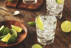 El gin y la ginebra presentan características distintas y sin embargo, se confunden fácilmente.  Foto: Cocina y Vino