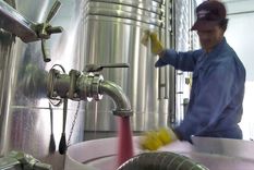 El Malbec continúa siendo el principal faro de las ventas para las bodegas