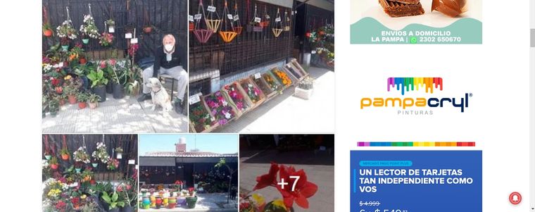 El vivero se hizo viral.