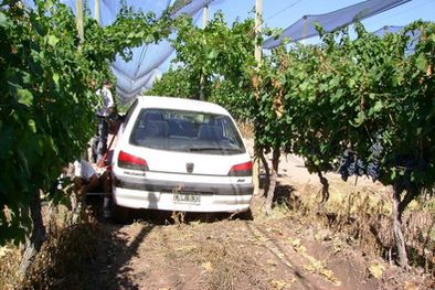 MDZol | El estado en que quedó el auto de las víctimas.