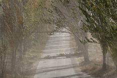Se espera la presencia de viento Zonda para el sur de Mendoza.