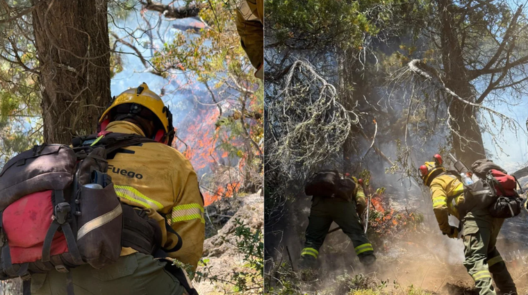En medio de los incendios forestales en la Patagonia, el Gobierno Nacional envío más de 300 brigadistas para brindar asistencia. En medio de los incendios forestales en la Patagonia, el Gobierno Nacional envío más de 300 brigadistas para brindar asistencia.