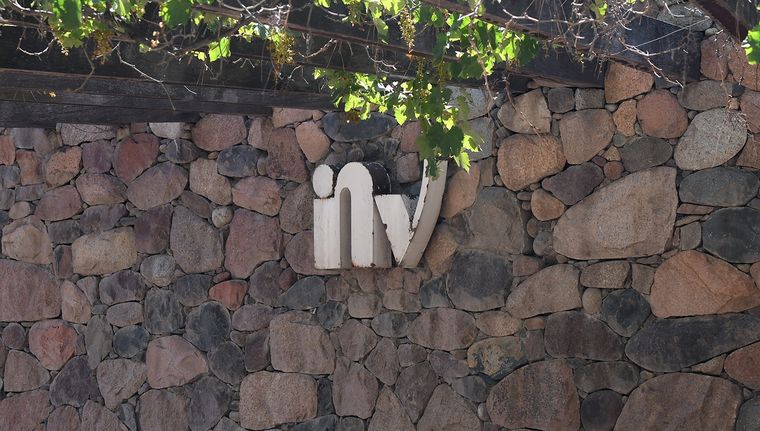 El Instituto Nacional de Vitivinicultura (INV) es uno de los organismos descentralizados que están en la mira de la motosierra de Milei. Foto: ALF PONCE MERCADO / MDZ