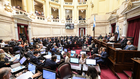 El Senado debate la reforma laboral.&nbsp;