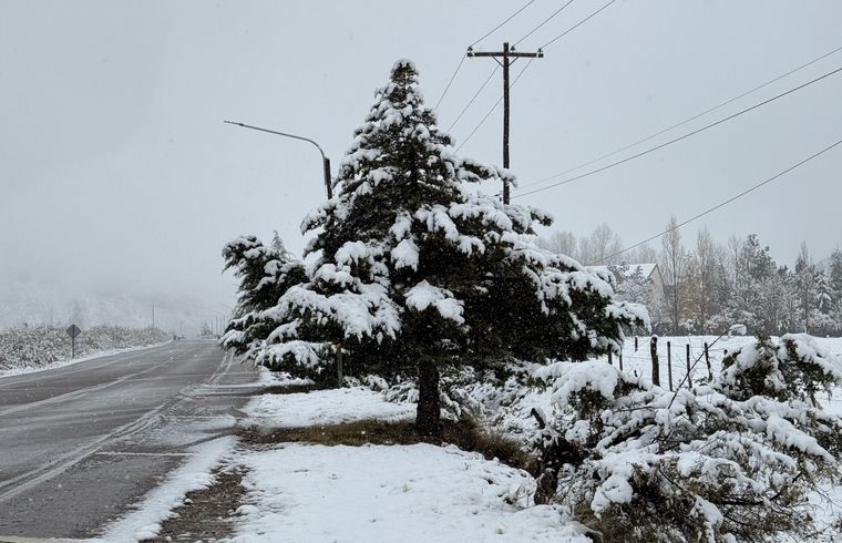 El Valle de Uco, y principalmente el Manzano Histórico, fue una de las zonas donde la nieve cayó con mayor intensidad. El Valle de Uco, y principalmente el Manzano Histórico, fue una de las zonas donde la nieve cayó con mayor intensidad.