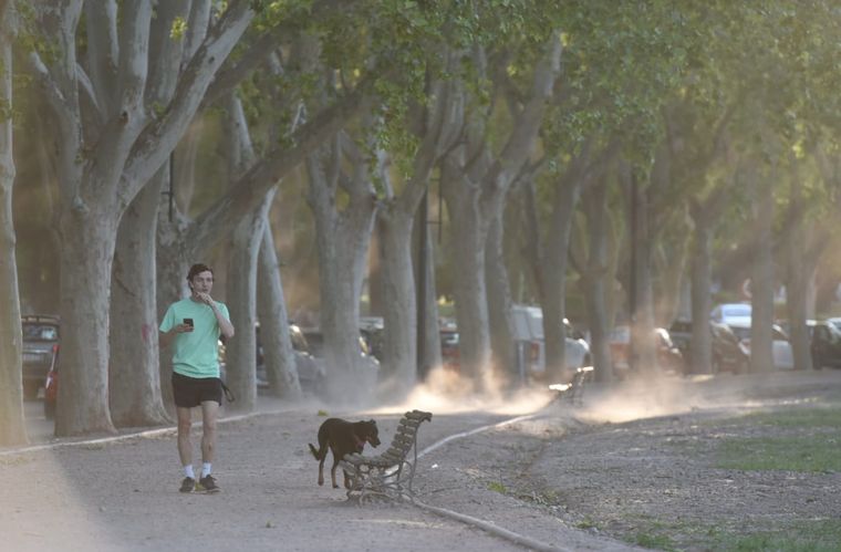 Las ráfagas de viento Zonda impactarán en el llano en horas de la tarde Foto: MDZ