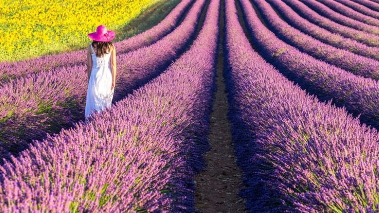 Caminar... Foto: GETTY IMAGES