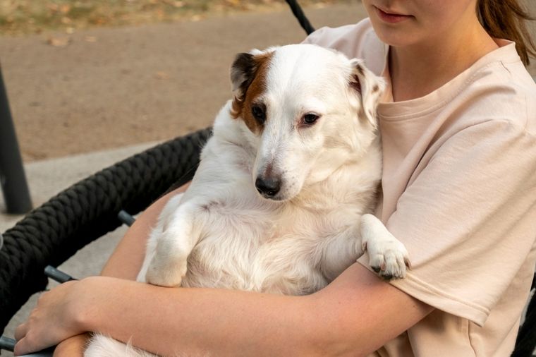 Las mascotas perciben nuestras emociones y responden con cercanía, afecto y compañía silenciosa. Foto: Shutterstock Las mascotas perciben nuestras emociones y responden con cercanía, afecto y compañía silenciosa. Foto: Shutterstock
