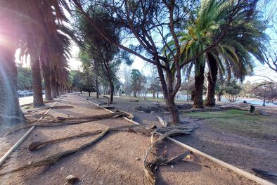 MDZol | El viento Zonda arrasó con Mendoza el viernes. Foto: Santiago Tagua/MDZ