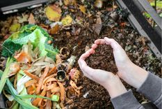 JARDÍN EL COMPOST SE OBTIENE A TRAVÉS DE materiales de origen orgánico, los cuales son sometidos a un proceso biológico de descomposición. Foto: shutterstock