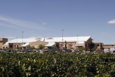 Foto: Pachy Reynoso/MDZç