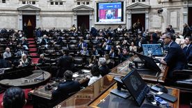 Todos los años los legisladores nacionales presentan su patrimonio en declaraciones juradas.