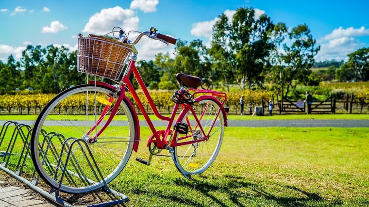 Sueños Conoce el significado de soñar con bicicletas Foto: Pexels