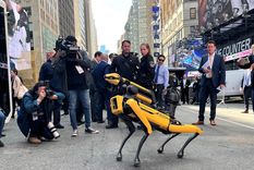 Nueva York ya tiene perros robots, para uso en seguridad. Foto: Efe. Nueva York ya tiene perros robots, para uso en seguridad. Foto: Efe.