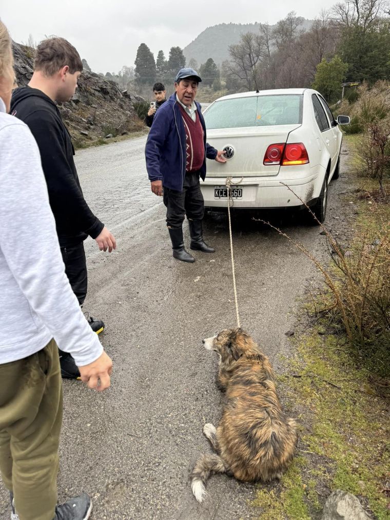 El animal iba atado con una soga Foto: Facebook /SOS Peludos SMA