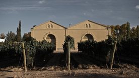 Bodega Casarena, incorporada al modelo colaborativo.