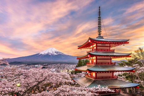 Los turistas buscan las fotos "perfectas" en la temporada de florecimiento de cerezos en Japón.