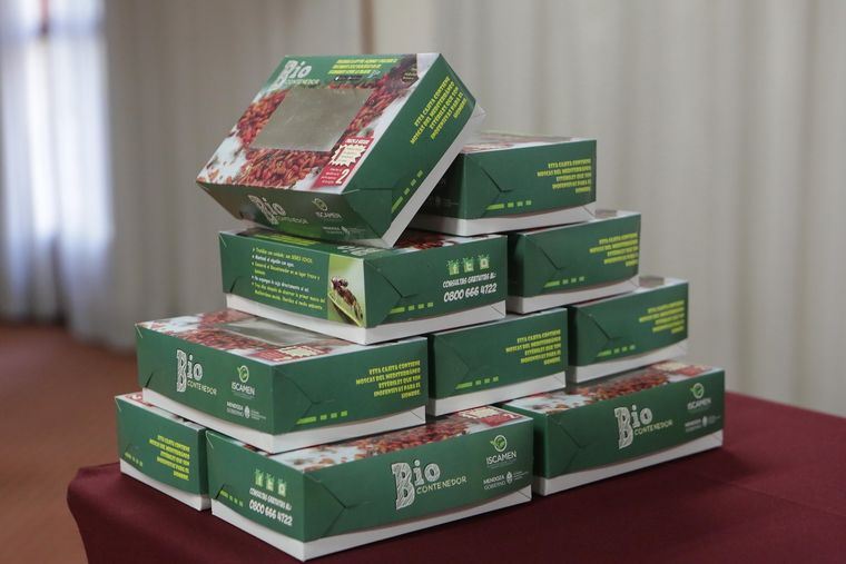 El proyecto se trabaja en la escuela primaria y lleva varios años en la provincia Foto: Prensa Gobierno de Mendoza