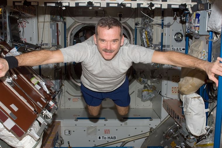 El astronauta famoso por registrar su vida en el espacio mediante videos. Foto: Astrobitácora