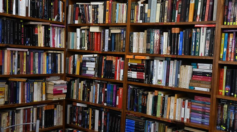 El lector mendocino sigue elgiendo a la lectura como actividad, a través de distintas vías. Foto: ALF PONCE MERCADO / MDZ