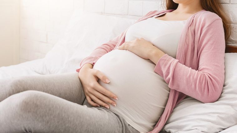 La Asignación Familiar por Prenatal de Anses cubre el embarazo desde las 12 semanas Foto: Fuente: Shutterstock