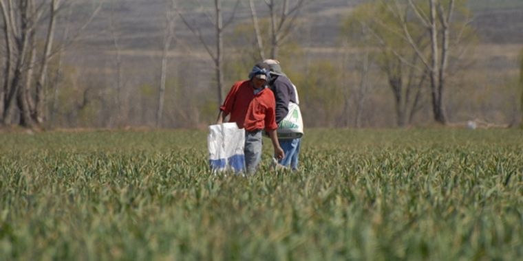 Las herramientas de conectividad inteligente permiten a las empresas agrícolas optimizar la gestión del agua y reducir el impacto de los desafíos climáticos. Foto: Ulises Naranjo / MDZ.