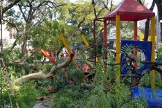 Por el accidente, cinco niños fueron internados