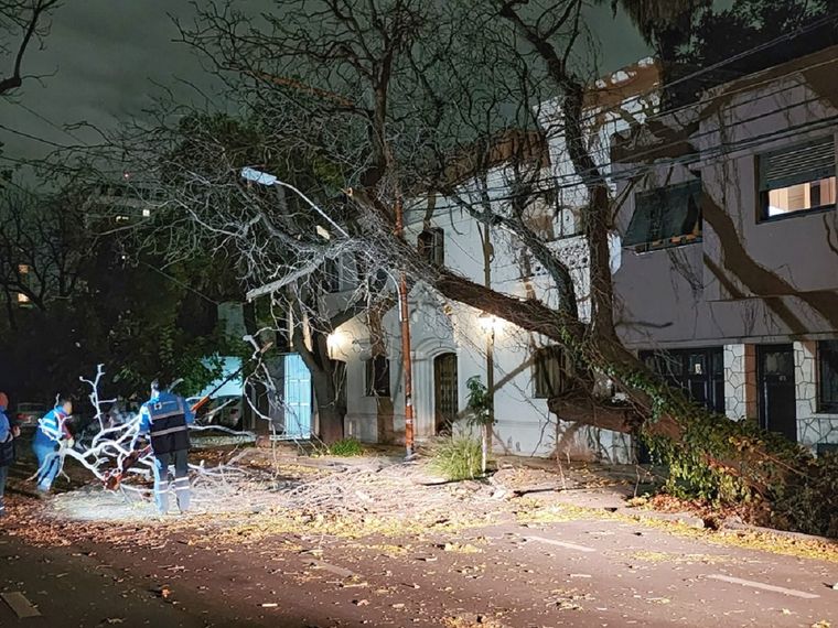 Vecinos siguen reportando incidentes en distintas zonas de Mendoza.