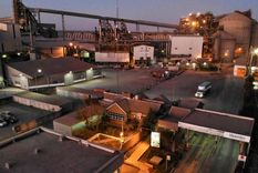 tres grandes empresas del agro quieren comprar vicentin