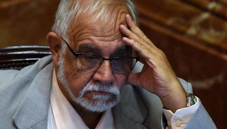 Juan Carlos Pagotto durante la sesión por el DNU. Foto: EFE