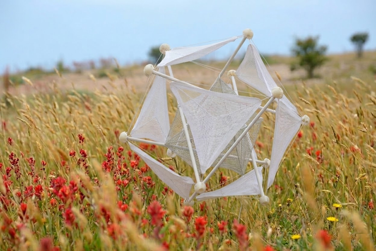 El descubrimiento para cuidar el medio ambiente. El descubrimiento para cuidar el medio ambiente.