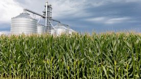 Argentina es una gran productor de biodiésel a base de soja y en 2025 generó exportaciones por más de 322 millones de dólares a la Unión Europea. Argentina es una gran productor de biodiésel a base de soja y en 2025 generó exportaciones por más de 322 millones de dólares a la Unión Europea.