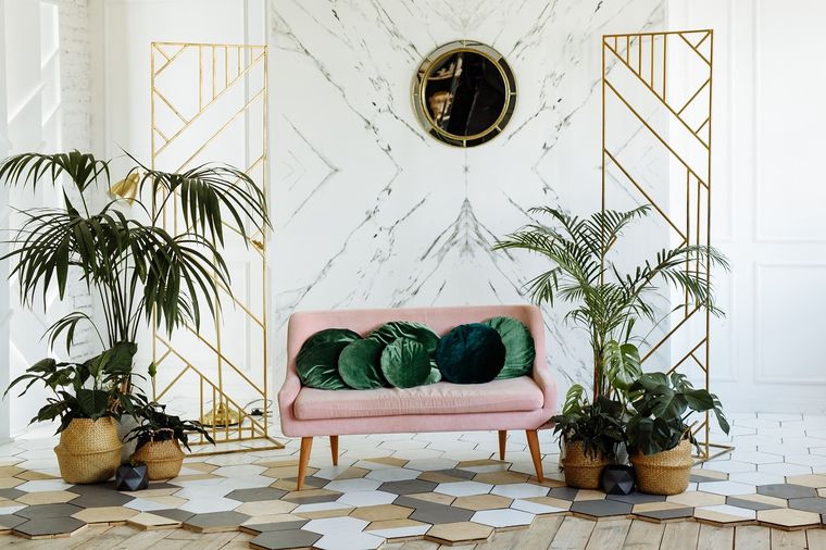 Transformá los espacios de tu hogar con estas plantas Foto: Shutterstock