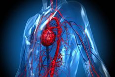 La droga que comienza a utilizarse en el país permite evitar las hospitalizaciones y muertes por causas cardiovasculares. Foto: VH.