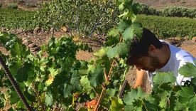Un famoso jugador de fútbol ahora es jurado internacional de vinos